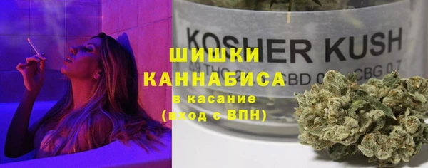 ПСИЛОЦИБИНОВЫЕ ГРИБЫ Богородицк