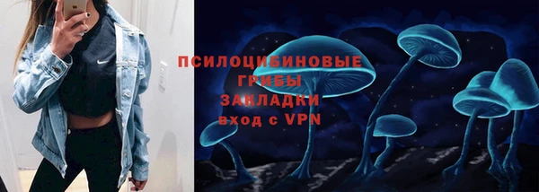 МДПВ Богданович