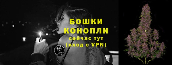 ПСИЛОЦИБИНОВЫЕ ГРИБЫ Богородицк